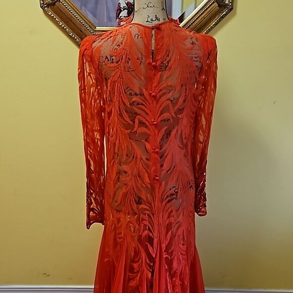 Vintage Sheer Red Lace Whimsigoth Maxi Gown size Large - Picture 7 of 12